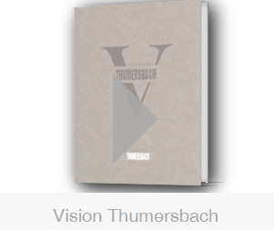 Projekte Vision Thumersbach